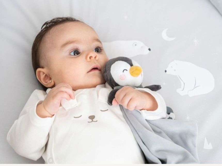 Kalencom 2-in-1 Potette Plus, Lila